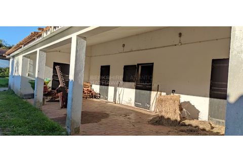 Farm i Obidos, Leiria, Obidos - € 4.500.000 | Ref: MAS_1023 - foto 37