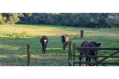 Farm i Obidos, Leiria, Obidos - € 4.500.000 | Ref: MAS_1023 - foto 42