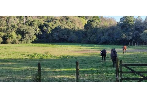 Farm i Obidos, Leiria, Obidos - € 4.500.000 | Ref: MAS_1023 - foto 44