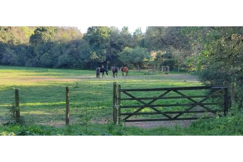 Farm i Obidos, Leiria, Obidos - € 4.500.000 | Ref: MAS_1023 - foto 46