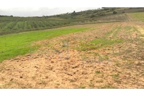Helårsgrund i Obidos, Leiria, Obidos - € 32.500 | Ref: EL2025506 - foto 4
