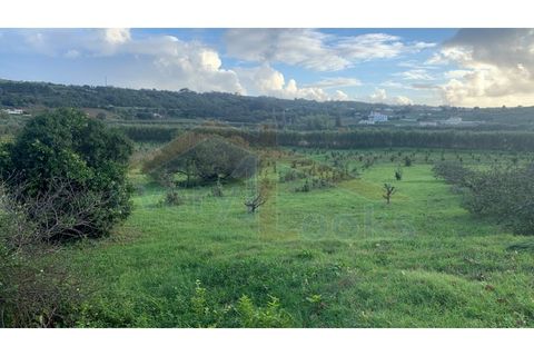 Helårsgrund i Obidos, Leiria, Obidos - € 350.000 | Ref: EL2023390 - foto 4