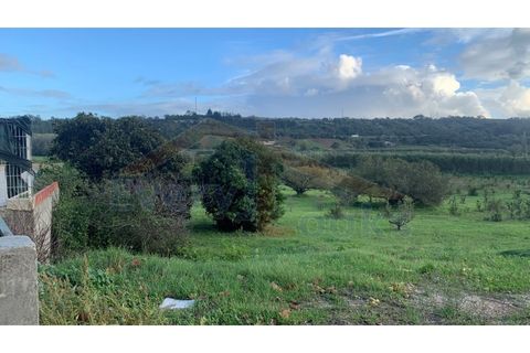 Helårsgrund i Obidos, Leiria, Obidos - € 350.000 | Ref: EL2023390 - foto 5