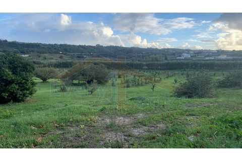 Helårsgrund i Obidos, Leiria, Obidos - € 350.000 | Ref: EL2023390 - foto 6