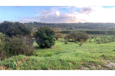 Helårsgrund i Obidos, Leiria, Obidos - € 350.000 | Ref: EL2023390 - foto 9