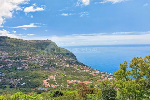 Villa en Arco da Calheta, Madeira, Arco da Calheta - € 980.000 | Ref: 4518-CLB1-Prime - photo 22