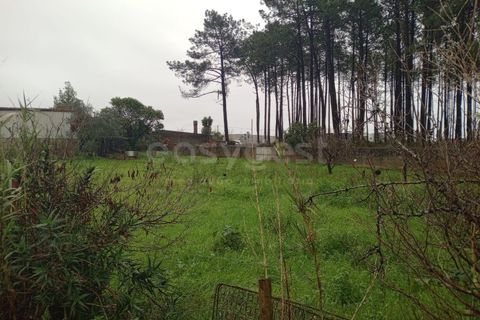Helårsgrund i Pataias, Leiria, Pataias - € 42.000 | Ref: LE98605NZ - foto 3