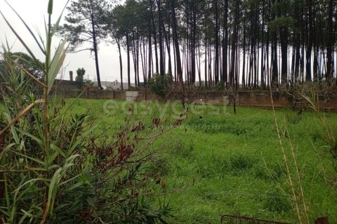 Helårsgrund i Pataias, Leiria, Pataias - € 42.000 | Ref: LE98605NZ - foto 4