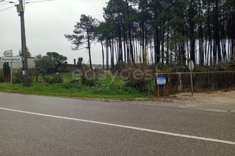 Helårsgrund i Pataias, Leiria, Pataias - € 42.000 | Ref: LE98605NZ - foto 5