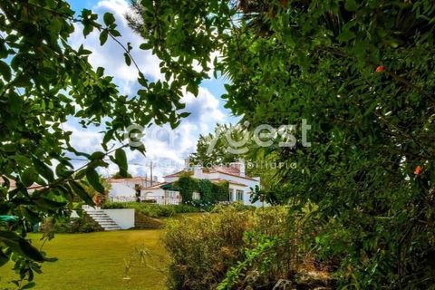 Farm i Bombarral, Leiria, Bombarral - € 797.000 | Ref: OR93048EW - foto 8