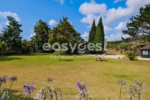 Farm i Bombarral, Leiria, Bombarral - € 797.000 | Ref: OR93048EW - foto 10