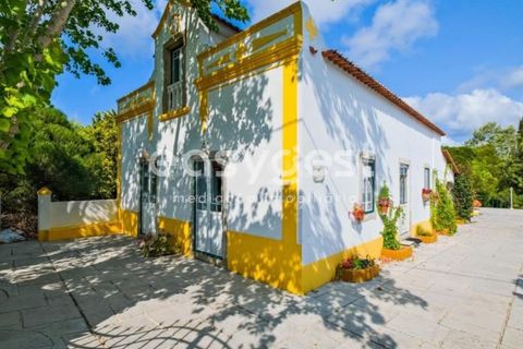 Farm i Bombarral, Leiria, Bombarral - € 797.000 | Ref: OR93048EW - foto 21