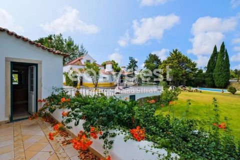Farm i Bombarral, Leiria, Bombarral - € 797.000 | Ref: OR93048EW - foto 43