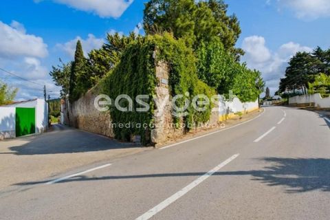 Farm i Bombarral, Leiria, Bombarral - € 797.000 | Ref: OR93048EW - foto 49