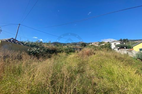 Helårsgrund i Sao Roque, Madeira, Sao Roque - € 295.000 | Ref: IC_739 - foto 2