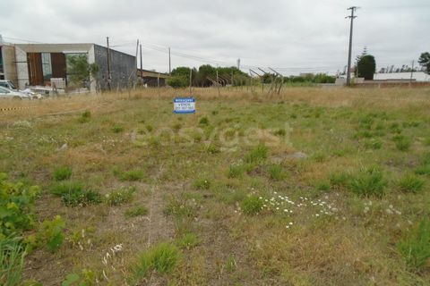 Helårsgrund i Pataias, Leiria, Pataias - € 30.000 | Ref: LE99440NZ - foto 2