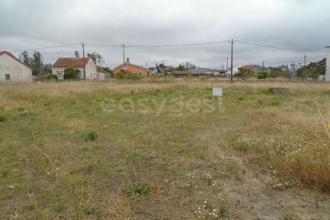 Helårsgrund i Pataias, Leiria, Pataias - € 30.000 | Ref: LE99440NZ - foto 3