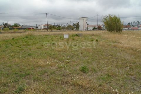 Helårsgrund i Pataias, Leiria, Pataias - € 30.000 | Ref: LE99440NZ - foto 4