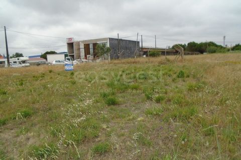 Helårsgrund i Pataias, Leiria, Pataias - € 30.000 | Ref: LE99440NZ - foto 6