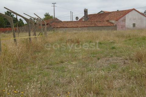 Helårsgrund i Pataias, Leiria, Pataias - € 30.000 | Ref: LE99440NZ - foto 7