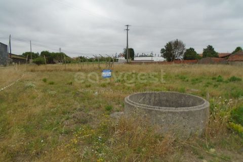 Helårsgrund i Pataias, Leiria, Pataias - € 30.000 | Ref: LE99440NZ - foto 10