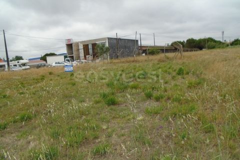 Helårsgrund i Pataias, Leiria, Pataias - € 30.000 | Ref: LE99440NZ - foto 12