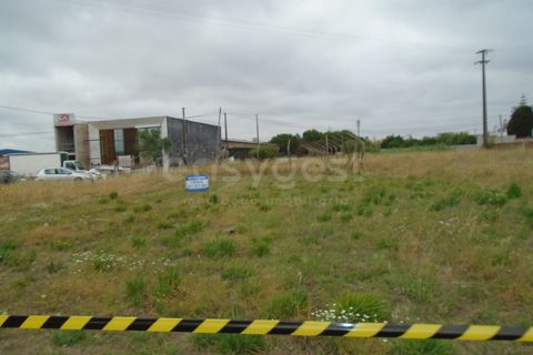 Helårsgrund i Pataias, Leiria, Pataias - € 30.000 | Ref: LE99440NZ - foto 13