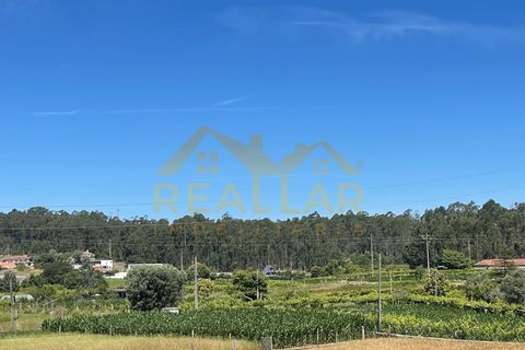 Villa i Barcelos, Braga, Barcelos - € 399.000 | Ref: RL-399-622 - foto 29