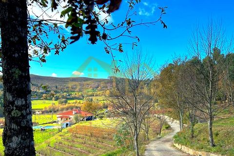 Granja a Gestaco, Porto, Gestaco - € 830.000 | Ref: RL-830-507 - foto 6
