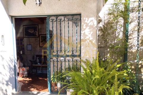 Farm i Viseu, Viseu, Viseu - € 650.000 | Ref: RL-750-208 - foto 3
