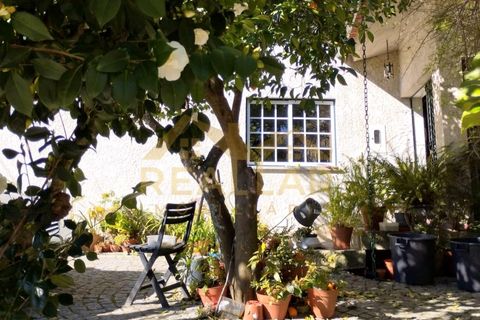 Farm i Viseu, Viseu, Viseu - € 650.000 | Ref: RL-750-208 - foto 14