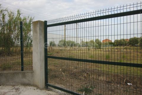 Helårsgrund i Alverca do Ribatejo, Lisbon, Alverca do Ribatejo - € 2.700.000 | Ref: ST89352EP - foto 8