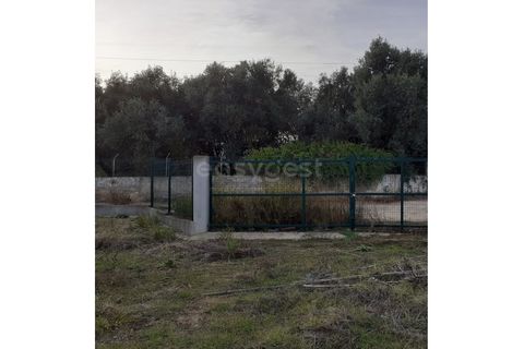 Helårsgrund i Alverca do Ribatejo, Lisbon, Alverca do Ribatejo - € 2.700.000 | Ref: ST89352EP - foto 9