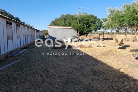 Grond in Beringel, Beja, Beringel - € 88.000 | Ref: BJ89979 - foto 2