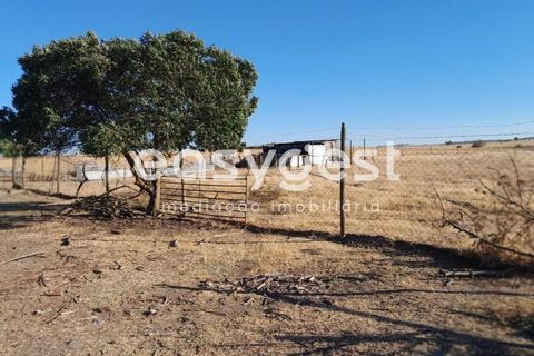 Grond in Beringel, Beja, Beringel - € 88.000 | Ref: BJ89979 - foto 11