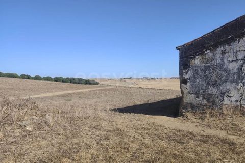 Gårdshus i Aljustrel, Beja, Aljustrel - € 180 000 | Ref: BJ98310AJ - foto 6