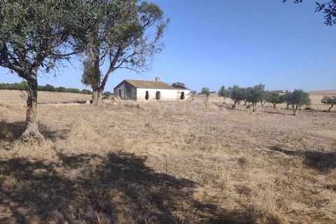 Gårdshus i Aljustrel, Beja, Aljustrel - € 180 000 | Ref: BJ98310AJ - foto 9