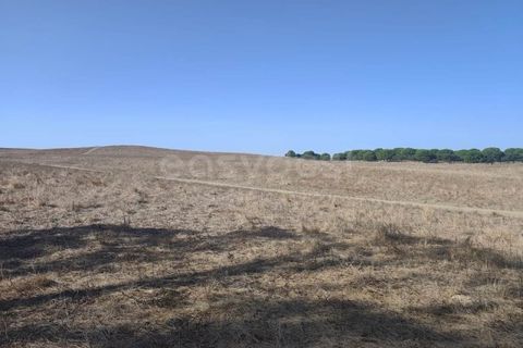 Gårdshus i Aljustrel, Beja, Aljustrel - € 180 000 | Ref: BJ98310AJ - foto 13