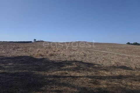 Gårdshus i Aljustrel, Beja, Aljustrel - € 180 000 | Ref: BJ98310AJ - foto 14