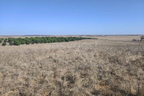 Gårdshus i Aljustrel, Beja, Aljustrel - € 180 000 | Ref: BJ98310AJ - foto 20