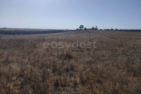 Gårdshus i Aljustrel, Beja, Aljustrel - € 180 000 | Ref: BJ98310AJ - foto 21