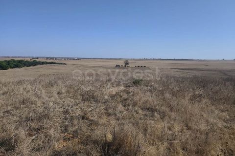Gårdshus i Aljustrel, Beja, Aljustrel - € 180 000 | Ref: BJ98310AJ - foto 22