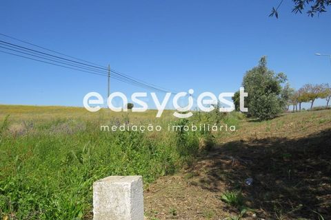 Terra a Aljustrel, Beja, Aljustrel - € 110.000 | Ref: BJ88357AJ - foto 4