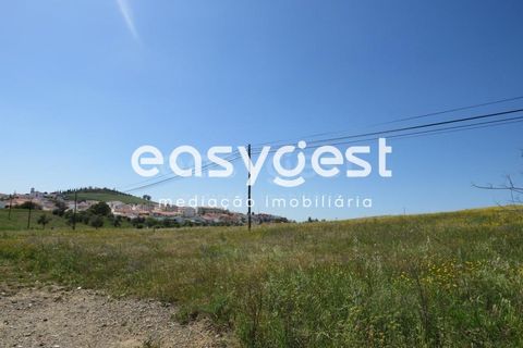 Terra a Aljustrel, Beja, Aljustrel - € 110.000 | Ref: BJ88357AJ - foto 9