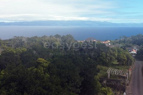 Villa i Ponta Delgada, Sao Miguel, Ponta Delgada - € 130.000 | Ref: AZ98897MK - foto 2