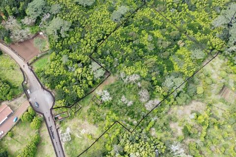 Villa i Ponta Delgada, Sao Miguel, Ponta Delgada - € 130.000 | Ref: AZ98897MK - foto 4