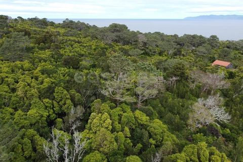Villa i Ponta Delgada, Sao Miguel, Ponta Delgada - € 130.000 | Ref: AZ98897MK - foto 7