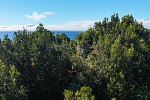 Terra a Sao Mateus, Graciosa, Sao Mateus - € 107.500 | Ref: AZ98381MK - foto 2