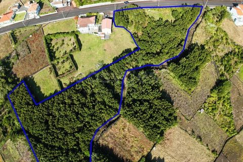 Terra a Sao Mateus, Graciosa, Sao Mateus - € 107.500 | Ref: AZ98381MK - foto 3