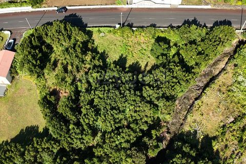 Terra a Sao Mateus, Graciosa, Sao Mateus - € 107.500 | Ref: AZ98381MK - foto 4